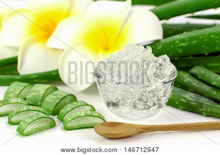 Pure Aloe Vera gel on aloe vera leaves and plumeria background. Aloe Vera gel almost use in food medicine and beauty industry.