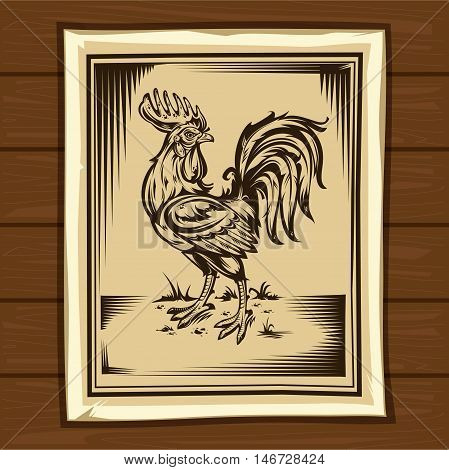 Vector vintage engraved illustration of a cock. Rooster symbol 2017 year
