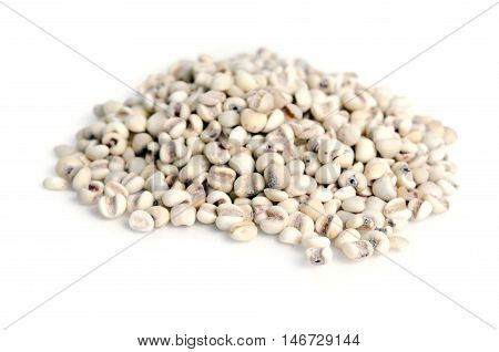 Millet Rice Bean, Millet Grains Isolated On White