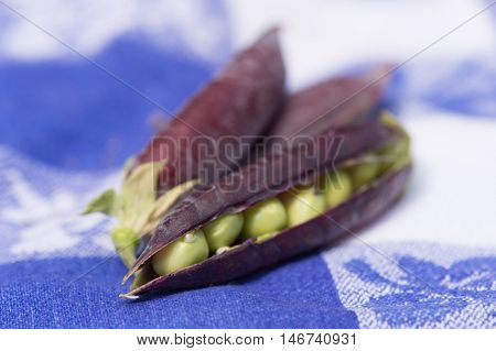 open marrowfat peas on blue background
