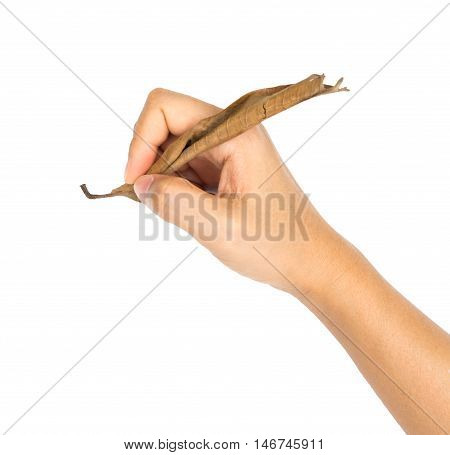 isolated female hand on white background.Clipping path included