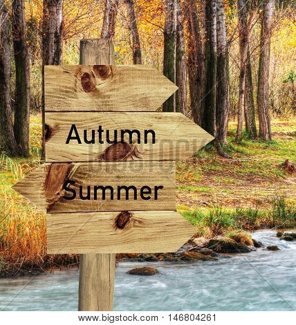 autumnal landscape