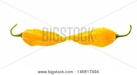 Two Ripe Fresh Fatalii Yellow Chili Hot Pepper