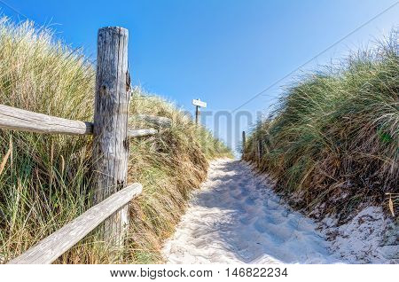 Beach And Dunes With Beachgrass In Summer