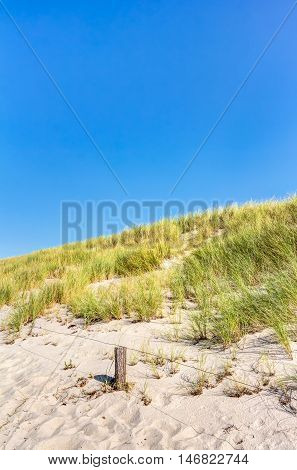 Beach And Dunes With Beachgrass In Summer