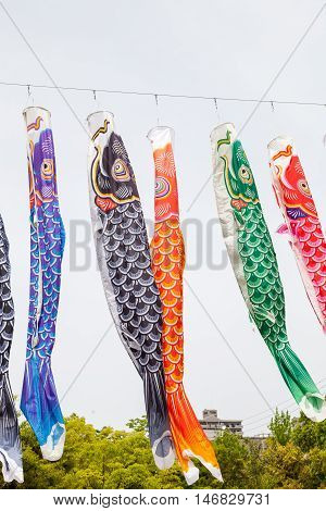 Japanese koinobori flags for Children's day on blue sky background