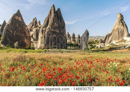 Rock formations and red flowers of Cappadocia in Central Anatolia, Turkey