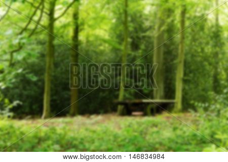 Old Abandond Trailer Left In The Woods Out Of Focus.
