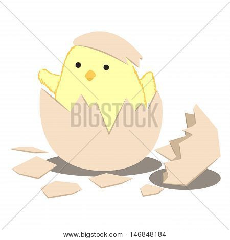 baby birth chick hatch egg cartoon character