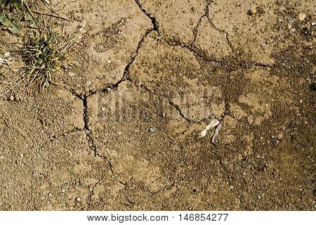 Texture of the soil, nature background, cracked ground texture, stony ground texture, excellent texture for use in your creative project, stony ground, autumn
