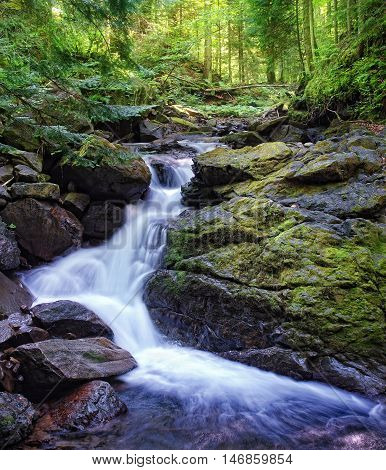 Deep wood with a small waterfall. Carpathians Ukraine.