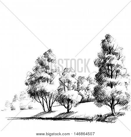 Forest sketch. Beautiful garden hand drawing, artistic nature background