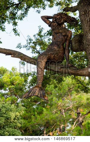 The sculpture "Mermaid" was created based on the works of Alexander Pushkin "Curved seashore (Lukomorye)". It is mounted on oak branches June 4 2016 next to the sculpture "Learned Cat". Lermontov Boulevard Gelendzhik Russia.