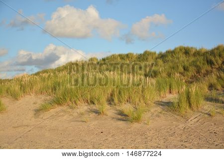 Beautiful Sand Dunes
