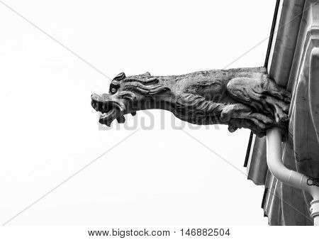 Beautiful Animal Gargoyle On Medieval Church