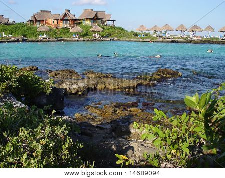 Snorkeling In The Inlet