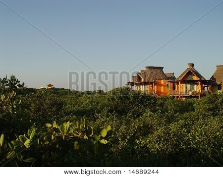 Bugalows Peeking Out From Rainforest