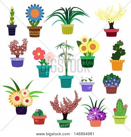 Vector set of flowers and plants in pots isolated on white background.