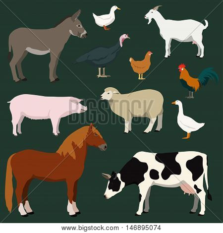 Cartoon farm animals and poultry vector set. Illustration of horse cow sheep goat donkey pig turkey chicken rooster duck goose.