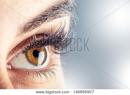 Close-up of woman's eye. Macro beautiful female eye.