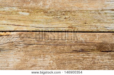 Closeup Old Wood texture. Cracky old rustic wood