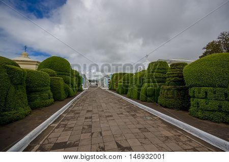 TULCAN, ECUADOR - JULY 3, 2016: grey cobble path with some topiary sculptures on the sides.