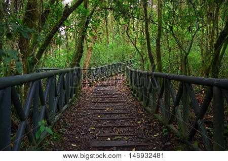 PASTO, COLOMBIA - JULY 3, 2016: wood path in la cotora island located in la cocha lake.