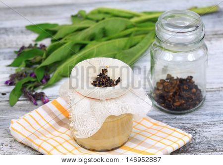 Alternative medicine filtering Comfrey ointment good for bones fresh comfrey and dried comfrey roots around