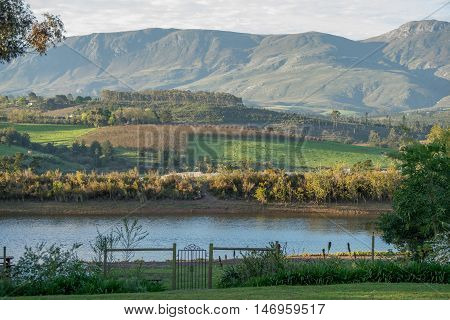 Farm Landscape