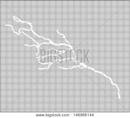 Halftone map of the Colorado River and tributaries