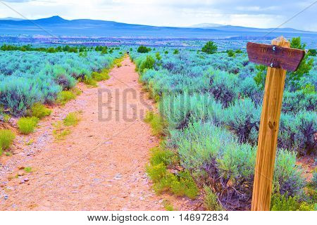 Hiking Trail at the high elevation desert mesa surrounded by sage plants taken in Northern New Mexico
