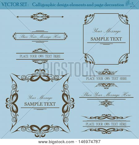 Vector Set of Vintage decorative Design Elements