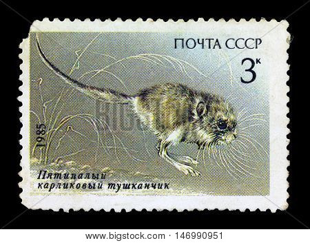 Ussr-circa 1985