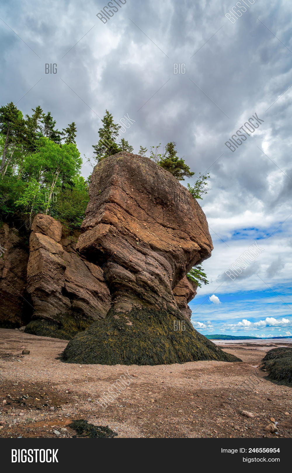 Hopewell Rocks Known Image & Photo (Free Trial) | Bigstock