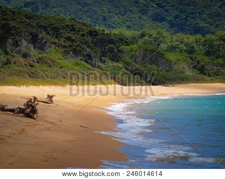 Wild Secluded Totaranui Beach In Abel Tasman National Park