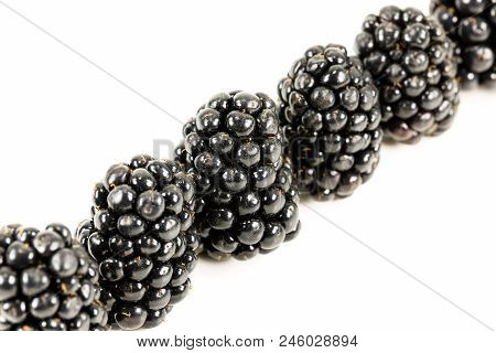 Fresh Blackberries Isolated On White Background With Copy Space