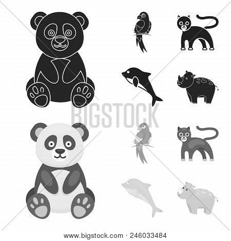 Panda.popugay, Panther, Dolphin.animal Set Collection Icons In Black, Monochrome Style Vector Symbol