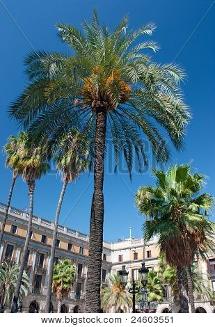 Plaza Reial, Barcellona