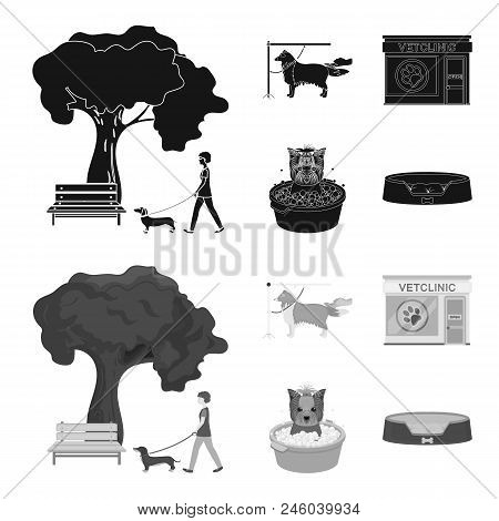 Walking With A Dog In The Park, Combing A Dog, A Veterinarian Office, Bathing A Pet. Vet Clinic And 