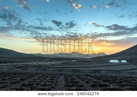 Lanzarote, Spain - December 27, 2016: Stunning Landscape With Sunset On Volcanic Vineyards In La Ger