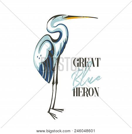 Hand Drawn Vector Abstract Cartoon Summer Time Graphic Decoration Illustrations Art With Exotic Trop