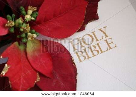 Bibel mit Weihnachtsstern, schließen