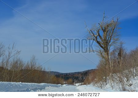 Winter Scenery Of Heilongjiang, China