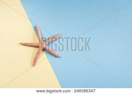 One Starfish On Diagonal Pastel Blue-yellow Background With Copy Space.  Minimalis Vacation Concept.