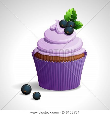 Vector Illustration -  Lilac Cupcake With Black Currant. Eps10.