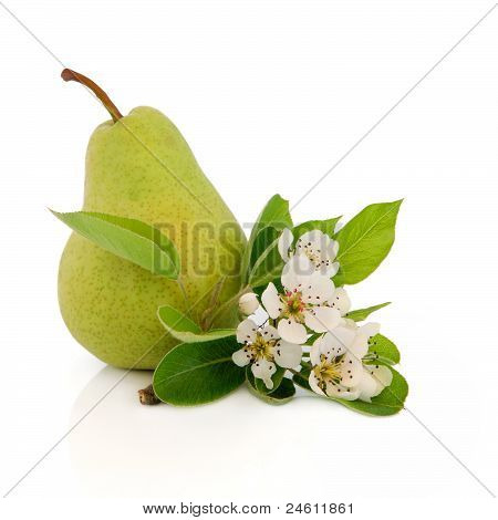 Pærer frugt