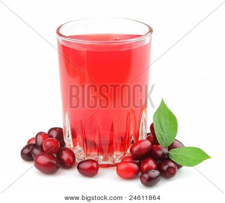Kompot z Cornel