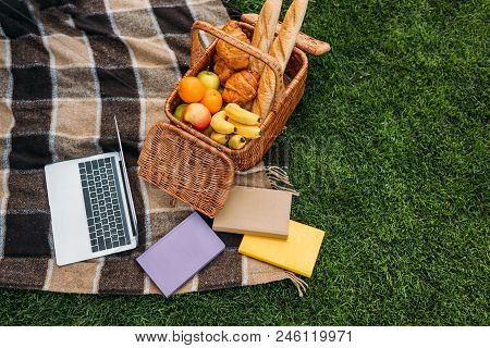 High Angle View Of Laptop, Books And Picnic Basket On Plaid In Park
