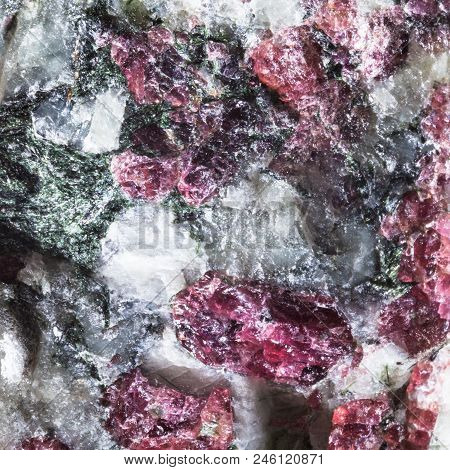 Macro Shooting Of Natural Texture Of Syenite Mineral With Pink Eudialyte Crystals From Kola Peninsul