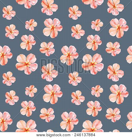 Handpainted Watercolor Seamless Pattern With Yellow And Red Mallow Flowers Abutilon On Black Backgro